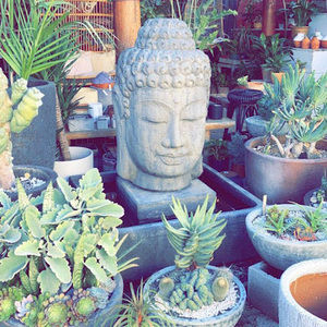 Meet your Posher, Janice